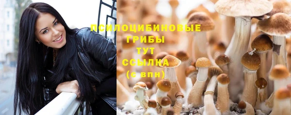 прущие грибы Алексеевка