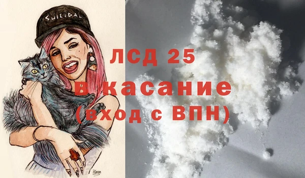 прущие грибы Алексеевка