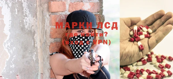 прущие грибы Алексеевка