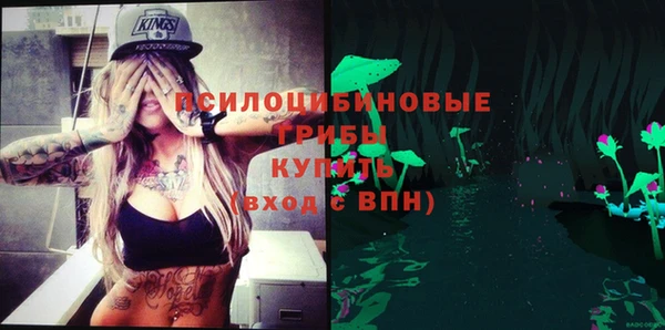 прущие грибы Алексеевка