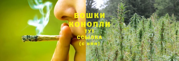 гидропоника Покачи