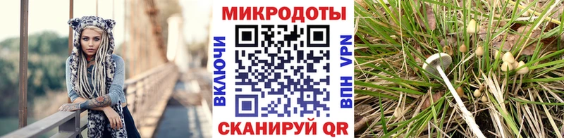 Псилоцибиновые грибы Cubensis  Выкса 